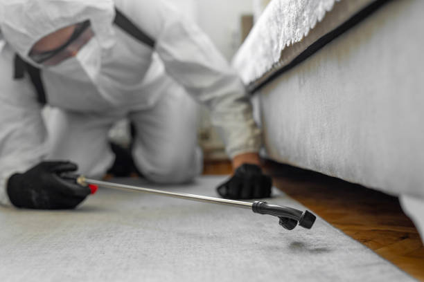Professional Ant Control technician working in Camp Wood, TX