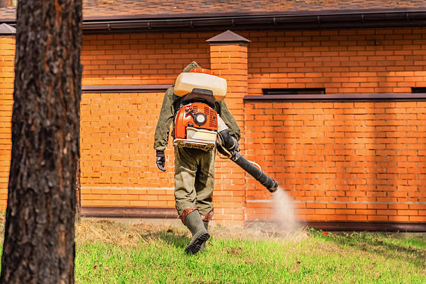 Trusted Cockroach Control service in Camp Wood, TX - Nex Pest Control